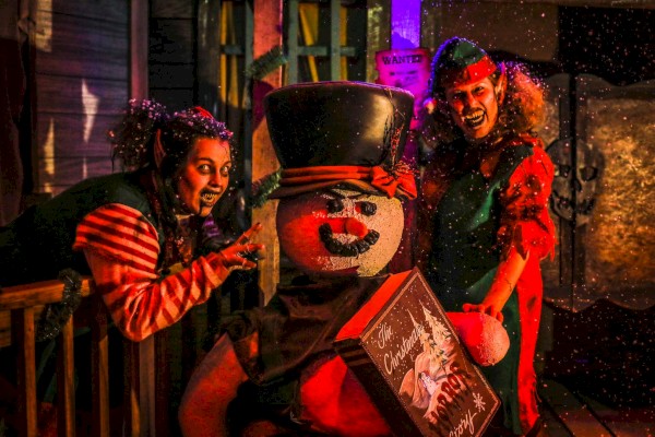 Two people dressed as elves pose with a smiling snowman holding a sign. The setting appears festive and decorated for the holidays.