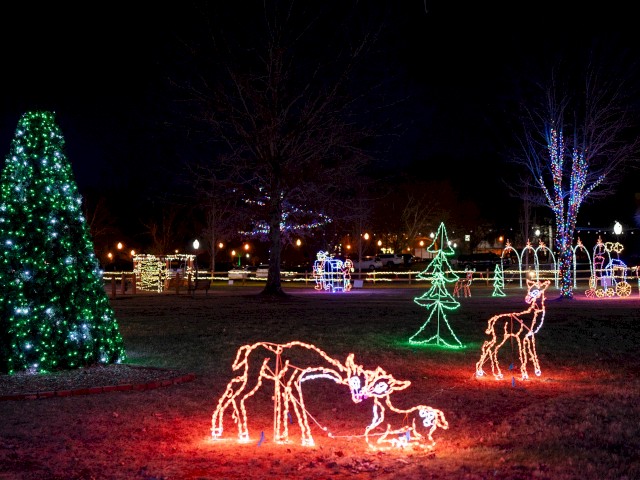 The image shows a park at night with Christmas light displays, including a lit-up Christmas tree, reindeer, and other festive shapes.