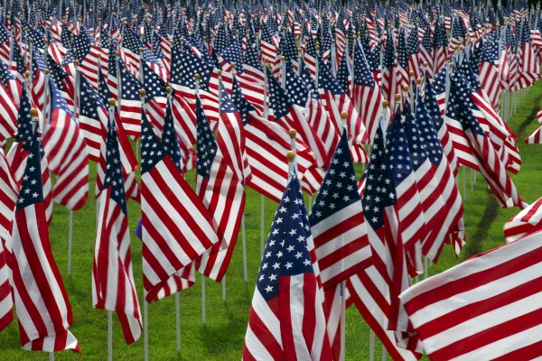 This image shows a field filled with numerous American flags standing upright on a grassy area.