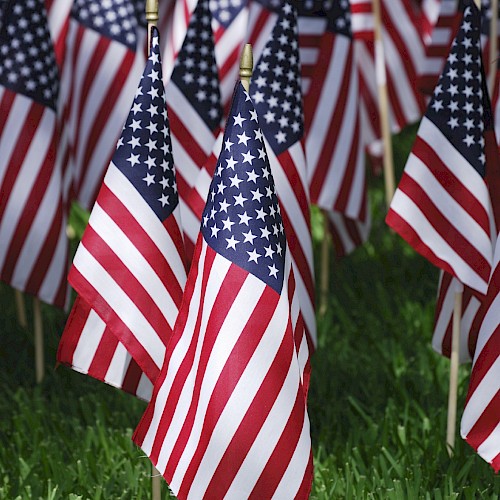Multiple small American flags are displayed on sticks, planted in the grass, creating a patriotic display.
