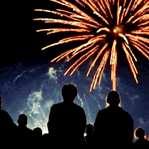 People watch fireworks explode in the night sky during a celebration or event.
