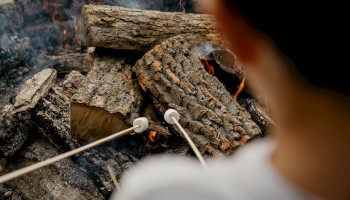 Logs are burning on a campfire with marshmallows on sticks roasting over the flames.