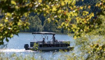 A pontoon boat is cruising on a lake, surrounded by lush greenery and framed by tree branches in the foreground.