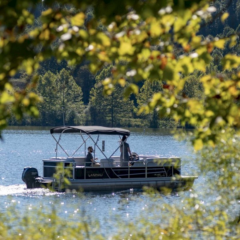 A pontoon boat glides across a lake, surrounded by trees and greenery, with the scene viewed through leaves in the foreground.