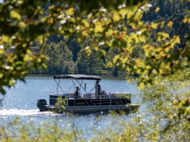 A pontoon boat glides on a tranquil lake, framed by leafy branches, with a backdrop of lush, green trees in the distance.