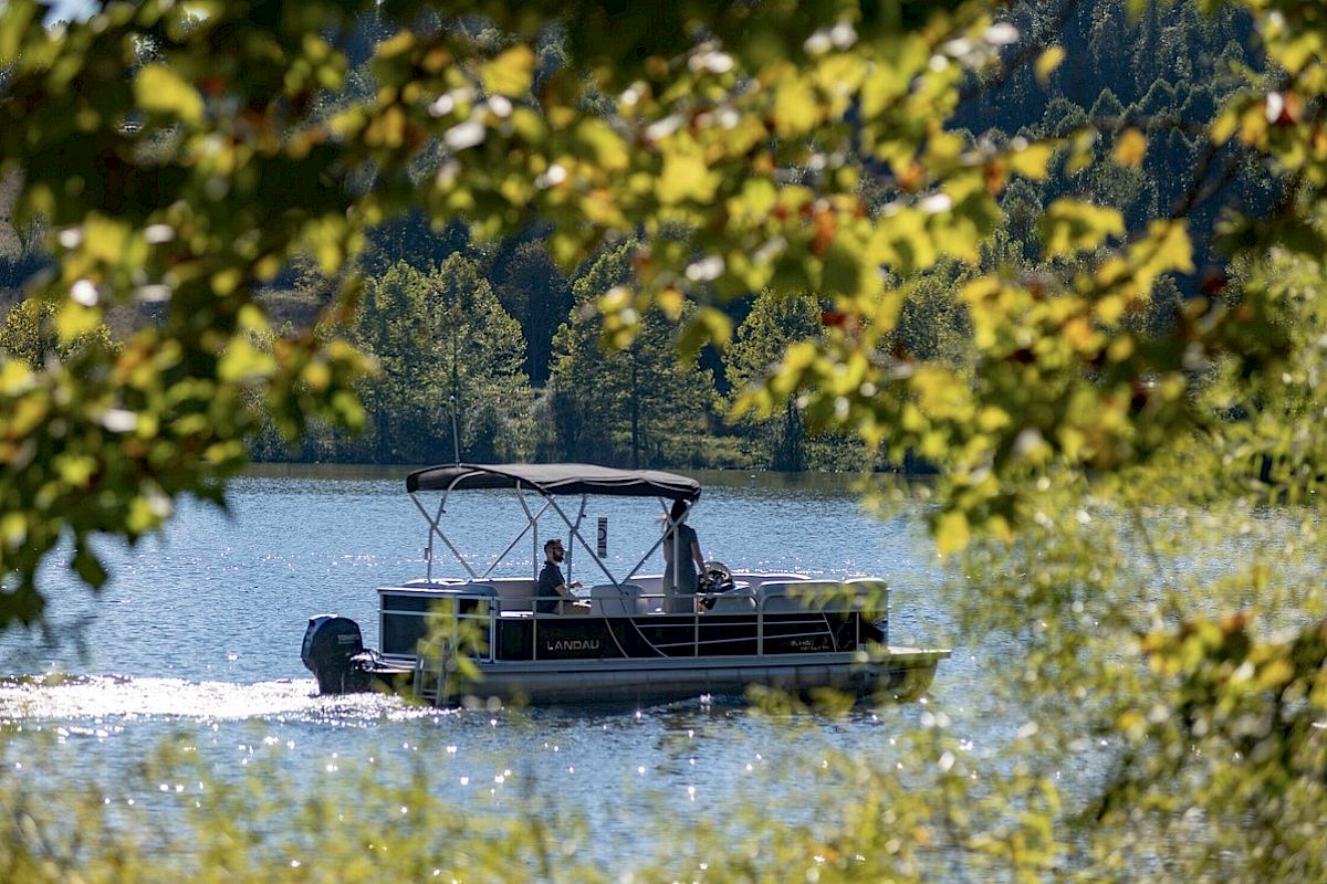 A pontoon boat travels on a lake, surrounded by lush trees and greenery. The scene is peaceful and serene, framed by branches and leaves.