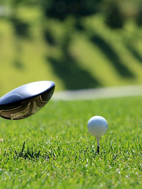 A golf club is positioned to hit a golf ball on a green course with trees in the background.