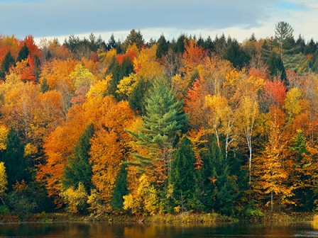 A vibrant fall forest with trees in shades of red, orange, yellow, and green reflected in a calm lake, under a partly cloudy sky.